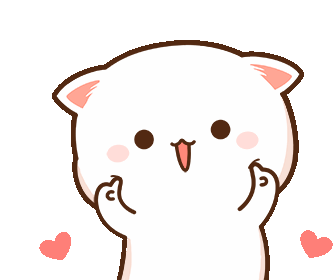 Mochi Peach Cat